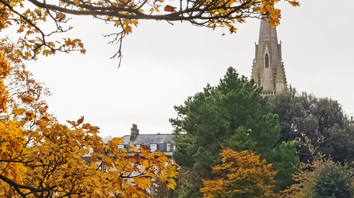 Autumn