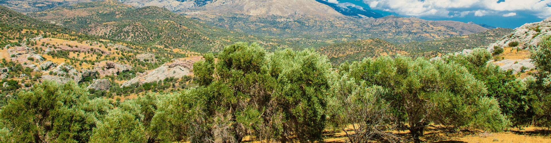 Easter in Crete 2026 – Wildflowers, antiquities, and festivities’ _Holiday to Greece
