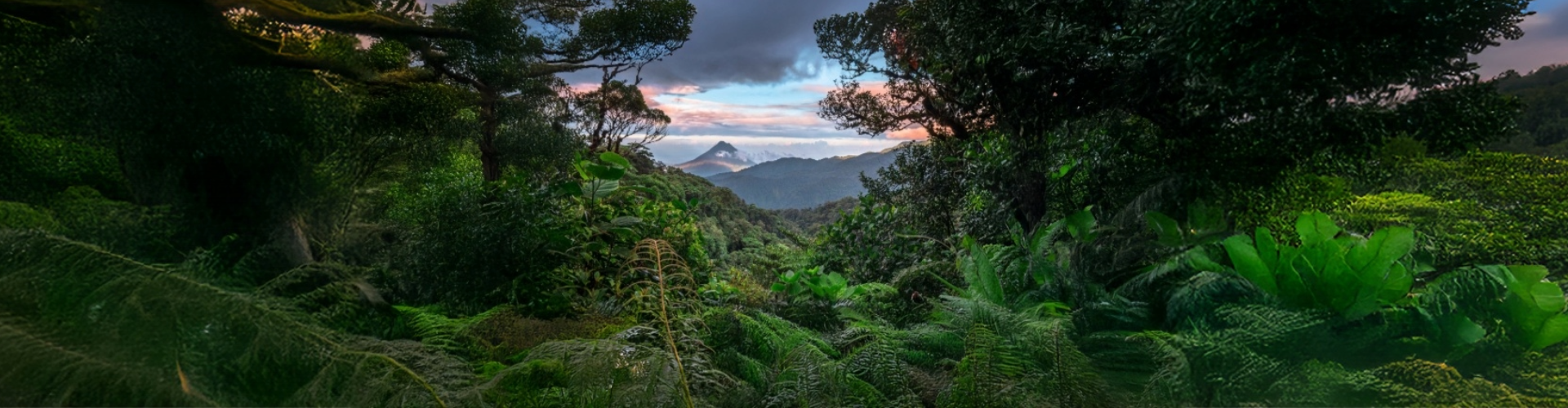 Arenal Costa Rica - Volcano and lush rainforest culutre and wildlife holiday  costa rica