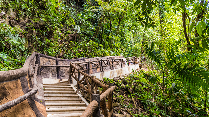 Forest Walkway _ Costa Rica holiday rainforest escapes, elegant eco-lodges, beach holiday.