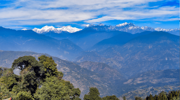 Red Panda  Holiday Habre's Nest India Holiday Himalayas2.png