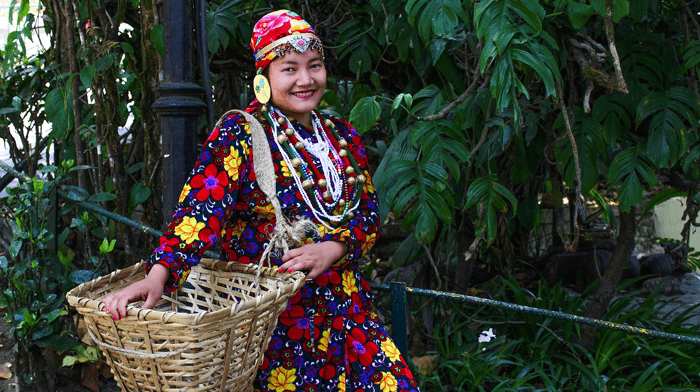 Travel to India. North East India Visit Darjeeling Tea Plantation.png