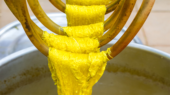 India Yellow Dye India Bespoke Travel.png