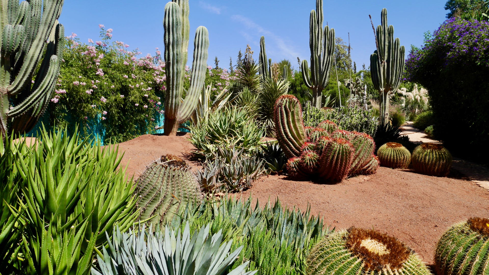 Anima Garden Andre Heller Garden botanical garden Morocco