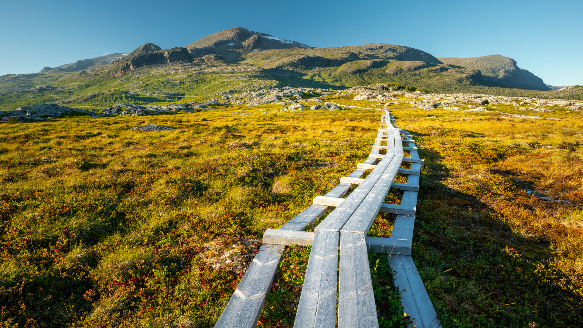 Sami Folk  landscape 