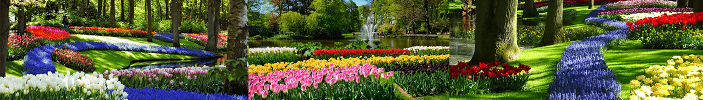 Keukenhof 2027 Holidays