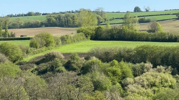 Countryside