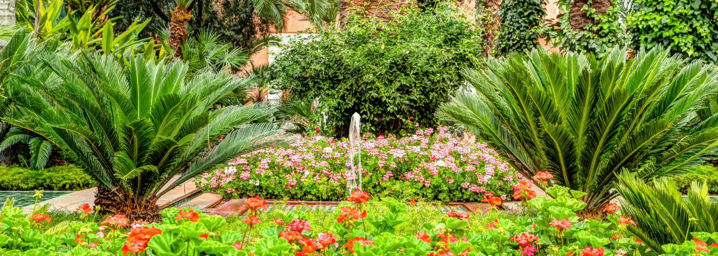 Garden in Morocco