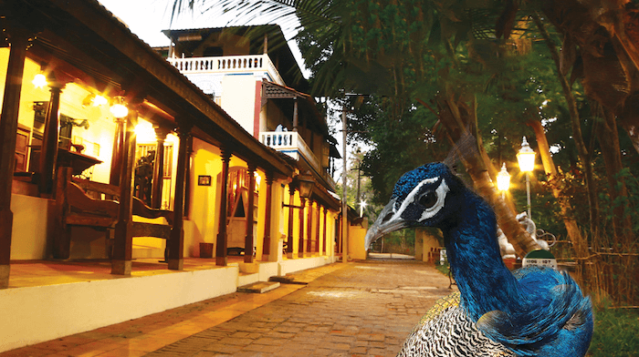  INDeco HOTELS SWAMIMALAI_