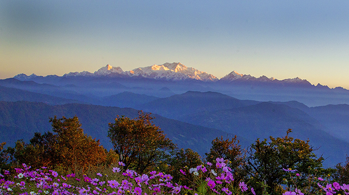 Red Panda  Holiday Habre's Nest India Holiday Himalayas_ Scenic views fromHabres Nest