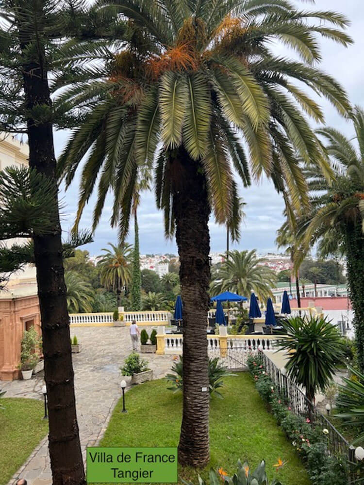 Tangier