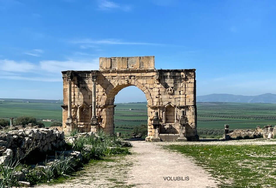 Volubilis 7