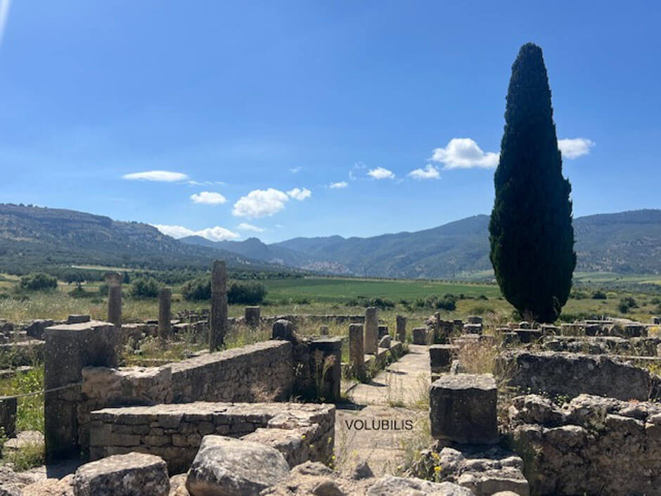 Volubilis 7a