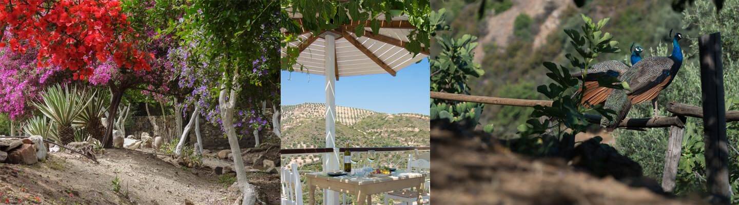 botanical garden of crete