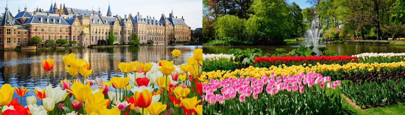 Keukenhof April tour to The Netherlands 2025