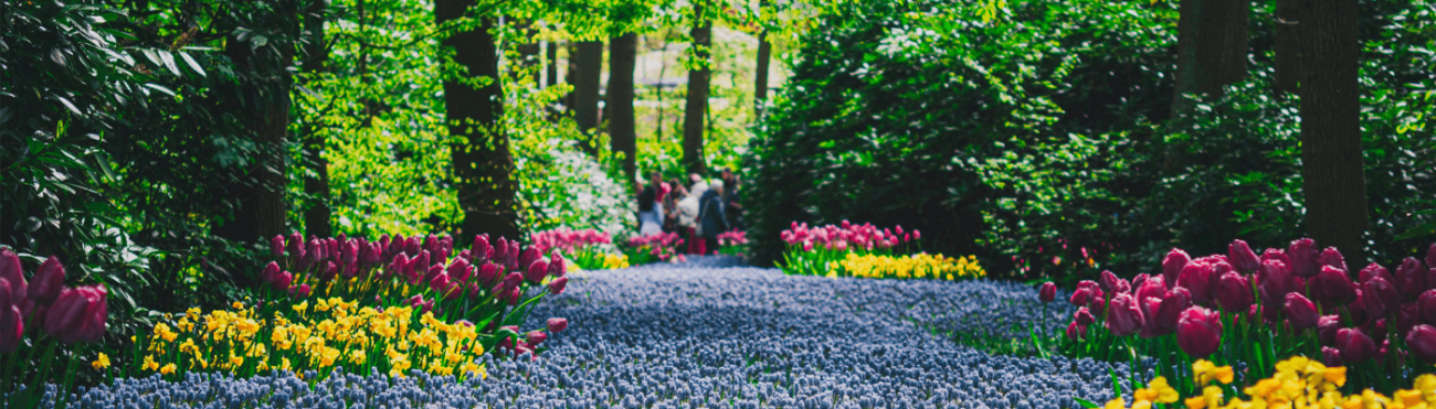 Keukenhof holiday 2025 Now Booking_#Keukenhof2025